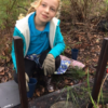 Finding Frogs at MRIS! Picture1