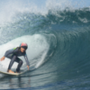 Willow surfs for the State! w